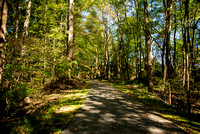 Clarksville Greenway Park